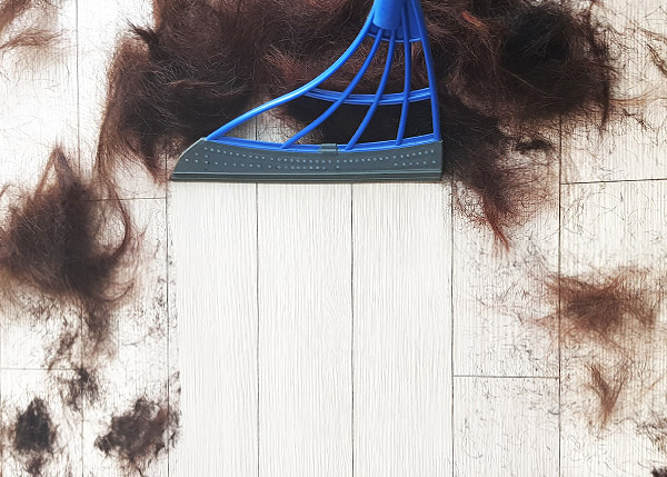 쓰리잘비 베이직 J01